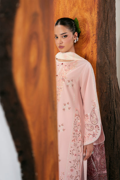 Blush